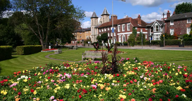 Accountants high wycombe. An image of local flower gardens